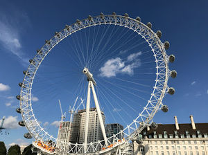 Meet your Posher, Henry